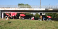Neues-Bild11
