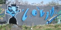 DSCN0454