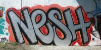 DSCN0462