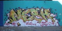 DSCN0473