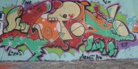 DSCN1084