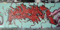 DSC_0254