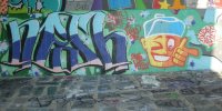 DSCN4203