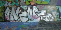 DSCN4204