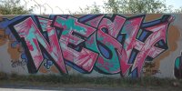 DSC_0017