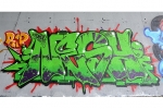 saner_sm