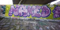 DSC05478