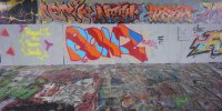 DSC05481