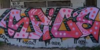 DSC_0154