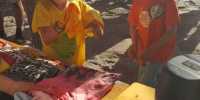 IMG-20210905-WA0019