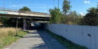 levinjam_2022_1