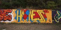 levinjam_2022_12