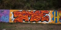 levinjam_2022_13
