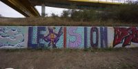 levinjam_2022_15