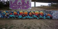 levinjam_2022_17