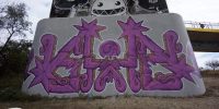 levinjam_2022_18