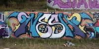 levinjam_2022_19