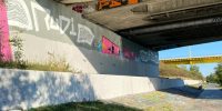 levinjam_2022_2