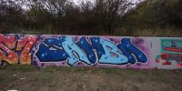 levinjam_2022_22