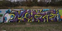 levinjam_2022_28