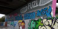 levinjam_2022_32