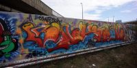 levinjam_2022_34