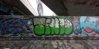 levinjam_2022_37