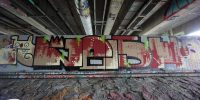 levinjam_2022_42