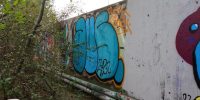levinjam_2022_47