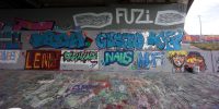levinjam_2022_53