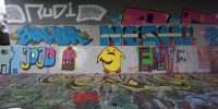 levinjam_2022_54