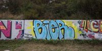 levinjam_2022_56