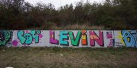 levinjam_2022_57