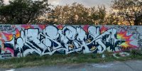 levinjam_2022_61