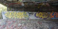 levinjam_2022_71