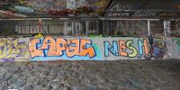 levinjam_2022_72