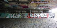 levinjam_2022_73