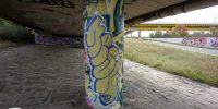 levinjam_2022_81