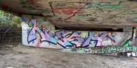 levinjam_2022_82