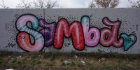 levinjam_2022_87