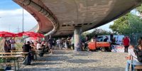 levinjam_2022_9