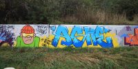 levinjam_42