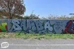 levinjam_2024_1_10
