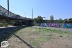 levinjam_2024_1_33