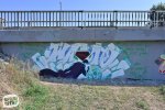 levinjam_2024_1_35