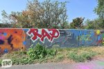 levinjam_2024_1_41
