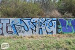 levinjam_2024_1_42