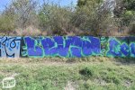 levinjam_2024_1_43