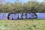 levinjam_2024_1_45