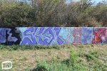 levinjam_2024_1_46